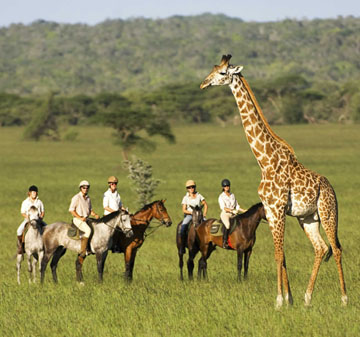 Cheap flights to Africa From London - Travel Wide Flights